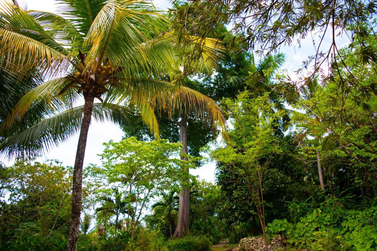 M Hotel Port Antonio Eksteriør billede