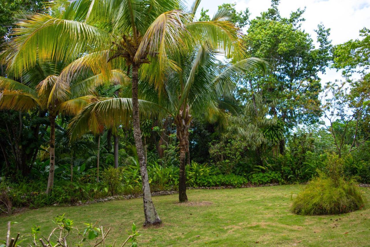 M Hotel Port Antonio Eksteriør billede